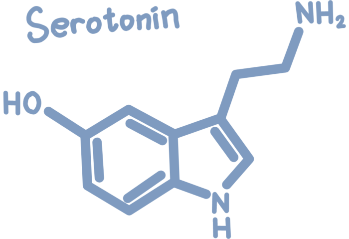 Increase Serotonin