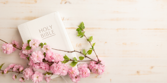 Bible verses