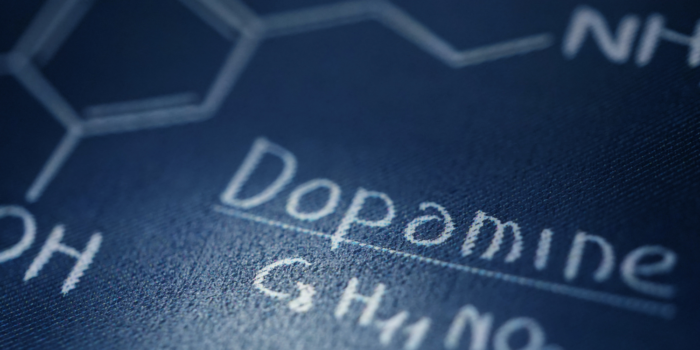 dopamine and reward