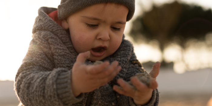 toddler development